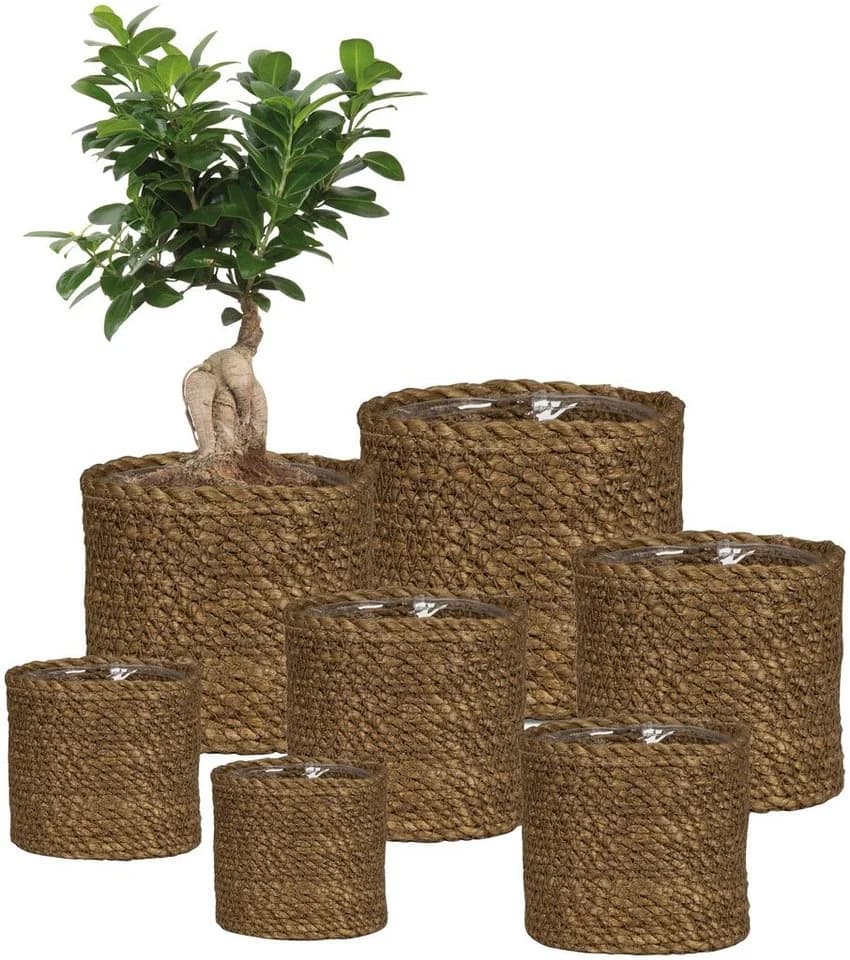 Scheurich Blumentopf Brown 26/508 Geflecht Seegras - Bild 4