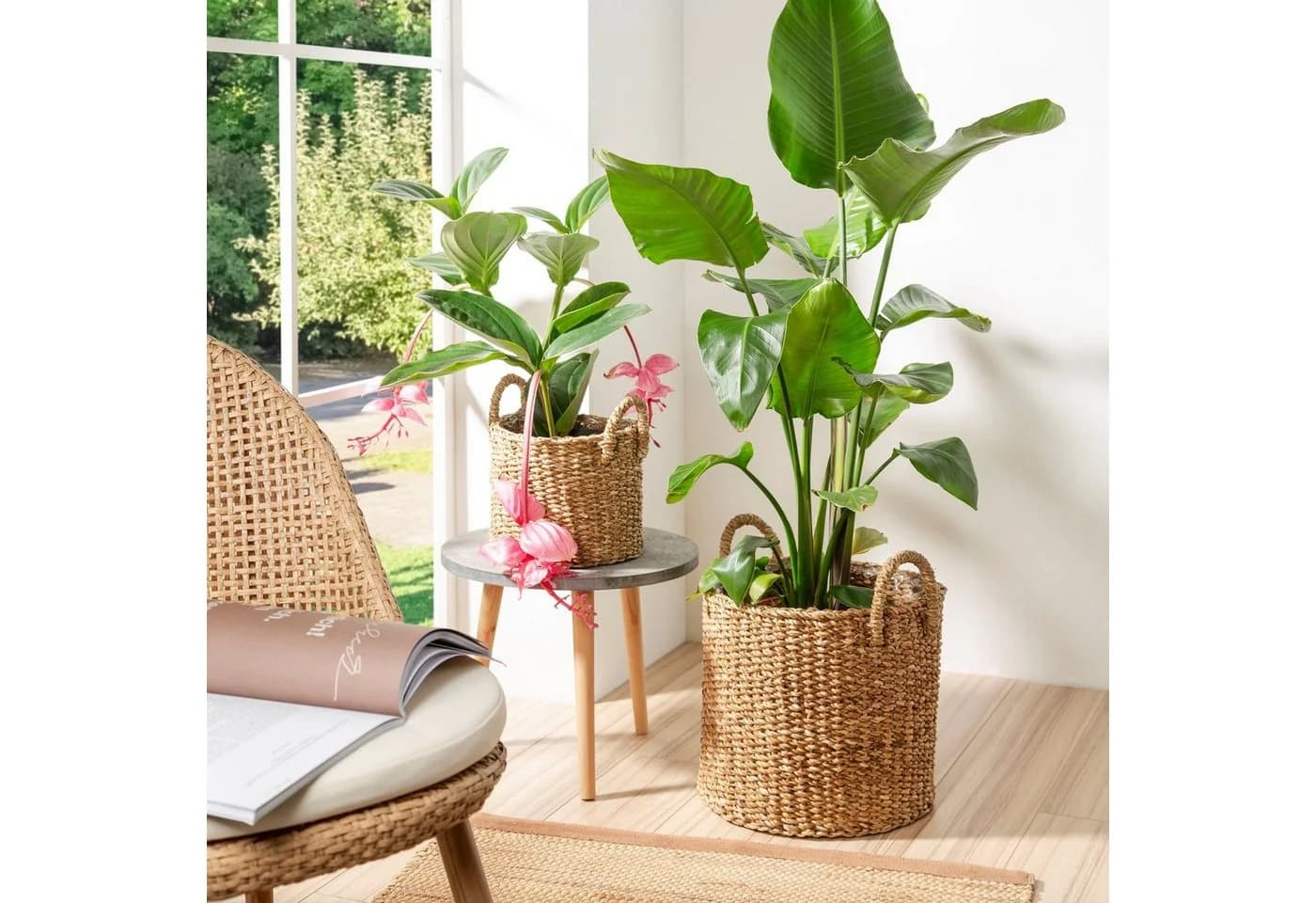 Scheurich Blumentopf Ø 35 cm Seegras Natur mit Griffen
