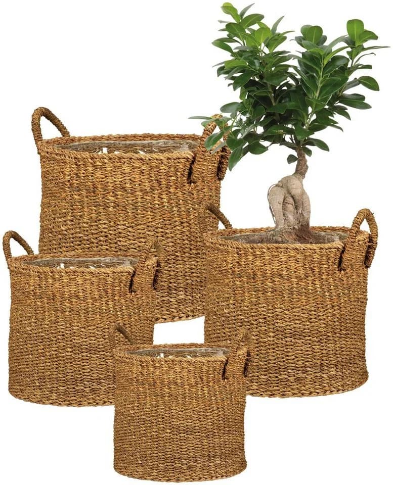 Scheurich Blumentopf Ø 35 cm Seegras Natur mit Griffen - Bild 4
