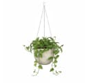 Scheurich Blumentopf 18/835 Hanging Pot Keramik Creme Bild 1