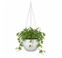 Scheurich Blumentopf 21/835 Hanging Pot Keramik Weiß Bild 1