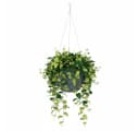 Scheurich Hängeblumentopf Keramik Dunkelgrau Bild 1