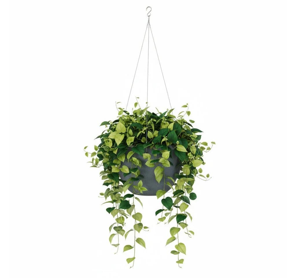 Scheurich Hängeblumentopf Keramik Dunkelgrau