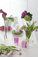 Leonardo Windlicht GIARDINO Transparent Glas Bild 1