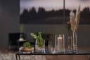 Leonardo Tischvase Novara Transparent Glas Handgefertigt Bild 4