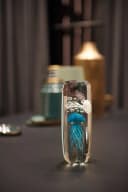 LEONARDO Dekofigur Qualle OCEANO Blau Glas Phosphoreszenz Bild 1
