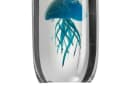 LEONARDO Dekofigur Qualle OCEANO Blau Glas Phosphoreszenz Bild 5