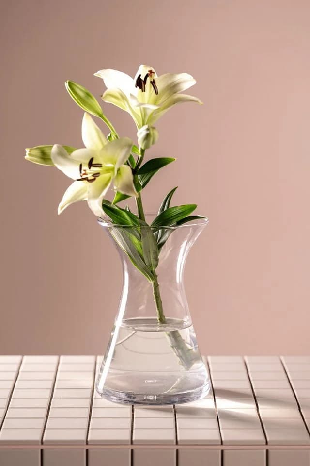 Vase GIA von LEONARDO - Klar Glas 22 cm - Bild 3