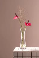 LEONARDO Solifleurvase GIA 25 cm Glas Bild 3