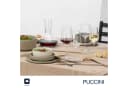 LEONARDO Weißweinglas Set PUCCINI 7-teilig Kristallglas Bild 5