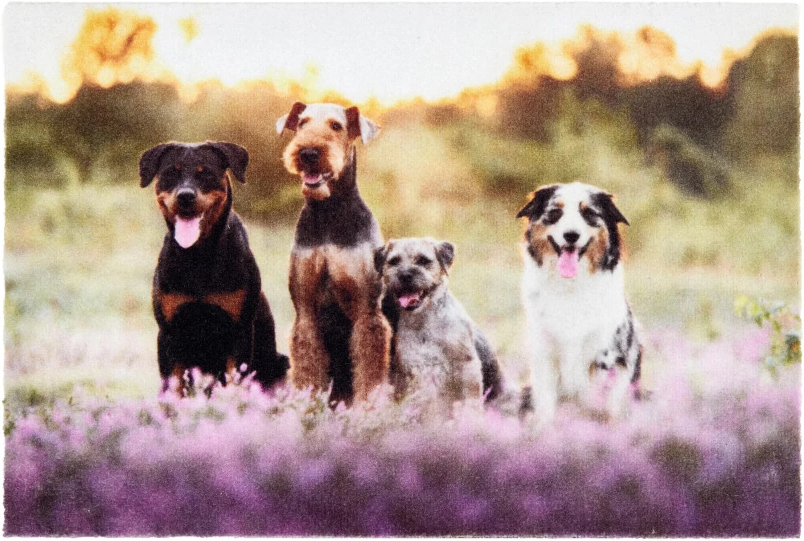 ASTRA Fußmatte Deco Print 107 Bunt Hundemuster