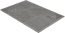 ASTRA Graphic Deluxe Fußmatte Silber Rutschfest Wetterfest Bild 4