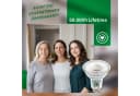 Briloner Leuchten LED-Leuchtmittel GU10 Warmweiß 2,5W 450 Lumen 2er Set Bild 5