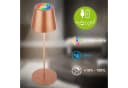 Briloner Leuchten LED Tischleuchte CALIDA Bronze Light Bild 3