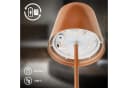 Briloner Leuchten LED Tischleuchte CALIDA Bronze Light Bild 5