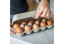 KOZIOL Eierkorb Eggs To Go Beige Kunststoff Bild 4