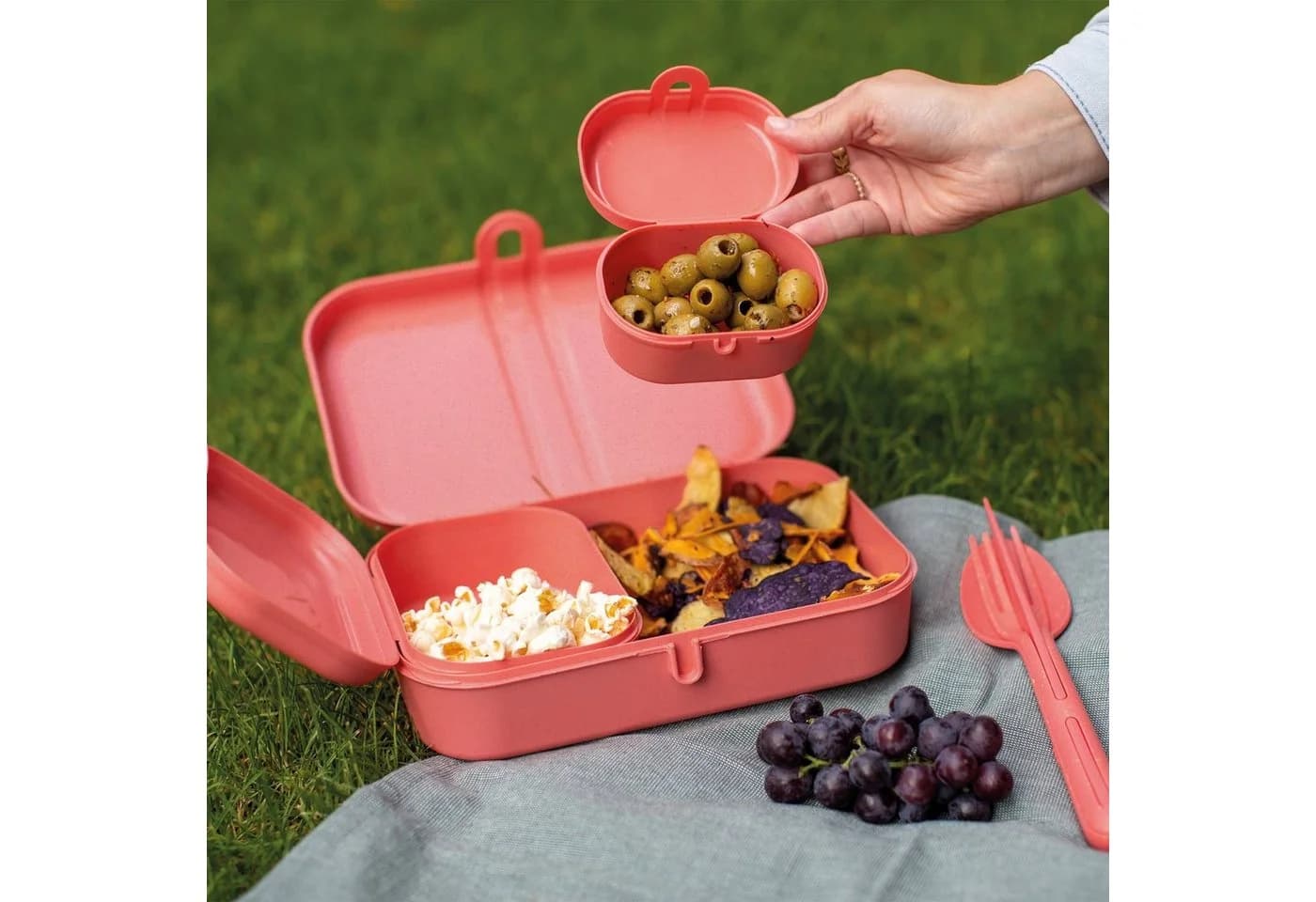 Koziol Lunchboxen 3er-Set mit Besteck PASCAL READY - Bild 3