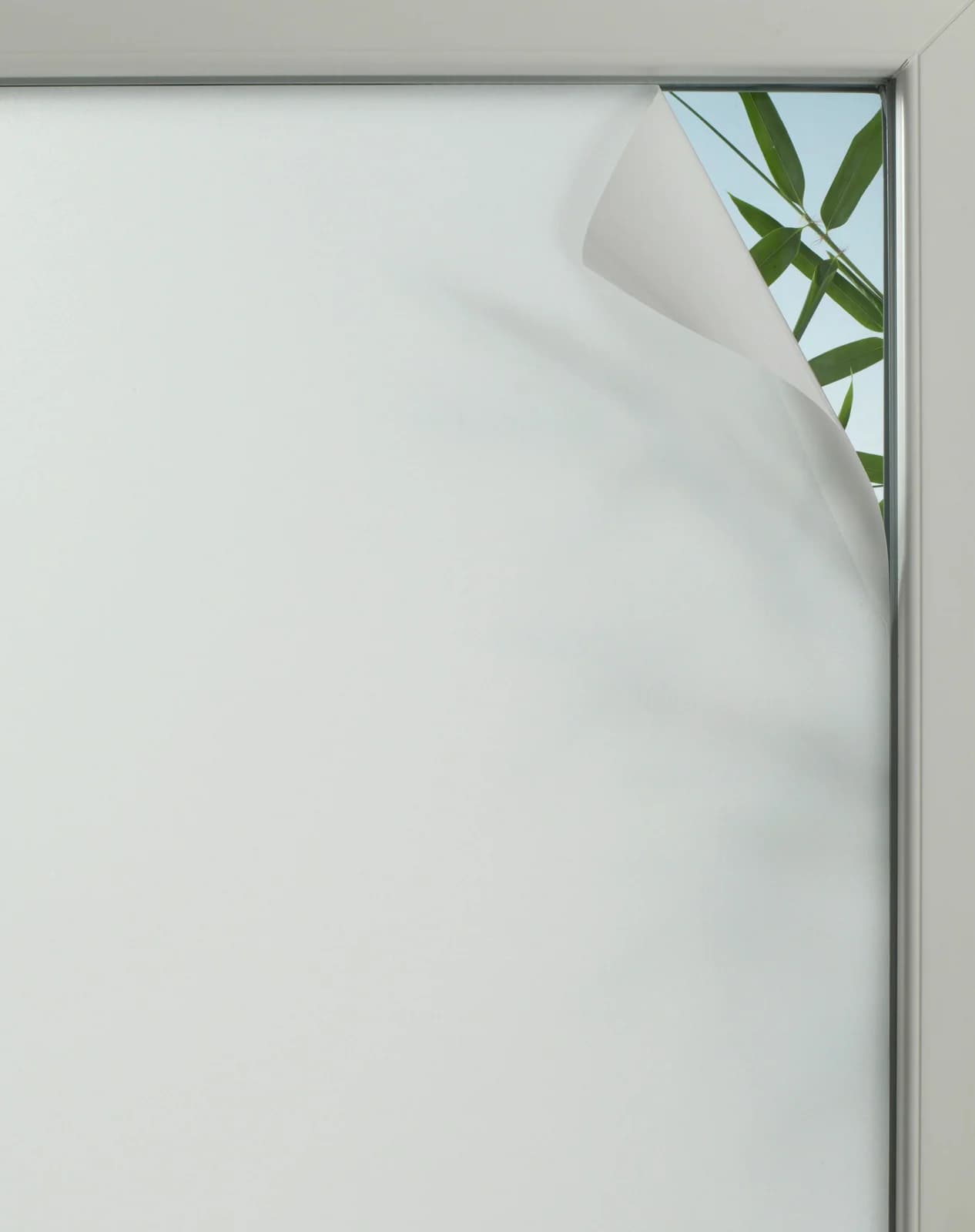 GARDINIA Fensterfolie Privacy 75 Halbtransparent 99% UV-Schutz - Bild 5