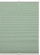 Plissee Milla Grün 100% Polyester Blickdicht Modern Bild 2