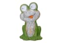 NÄVE LED Solarleuchte Frosch "Froggel" Grün mit animierten Augen Bild 4