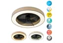 OTTO HOME LED Deckenventilator Vittor Beige CCT Dimmbar Bild 2