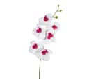 Kunstorchidee PHALAENOPSIS Orchideenzweig 76cm Gasper Bild 1