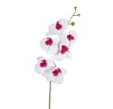 Kunstorchidee PHALAENOPSIS Orchideenzweig 76cm Gasper Bild 2