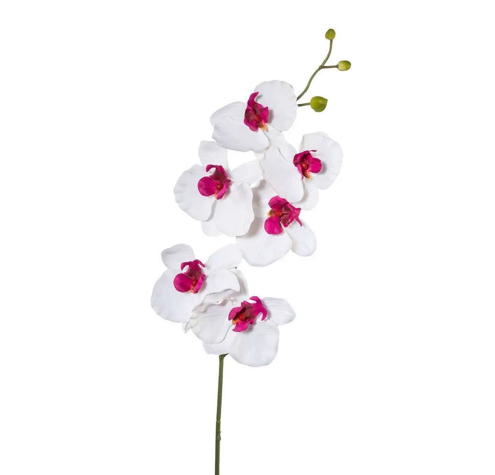 Kunstorchidee PHALAENOPSIS Orchideenzweig 76cm Gasper - Bild 2