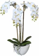 Creativ green Kunstpflanze Mini Orchidee Grün Weiß Keramiktopf Bild 2