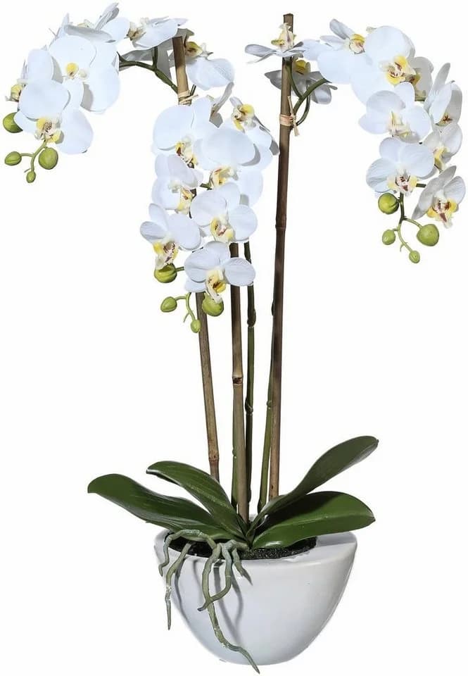 Creativ green Kunstpflanze Mini Orchidee Grün Weiß Keramiktopf - Bild 2