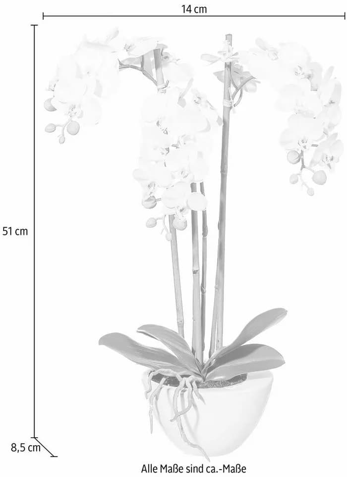 Creativ green Kunstpflanze Mini Orchidee Grün Weiß Keramiktopf - Bild 3