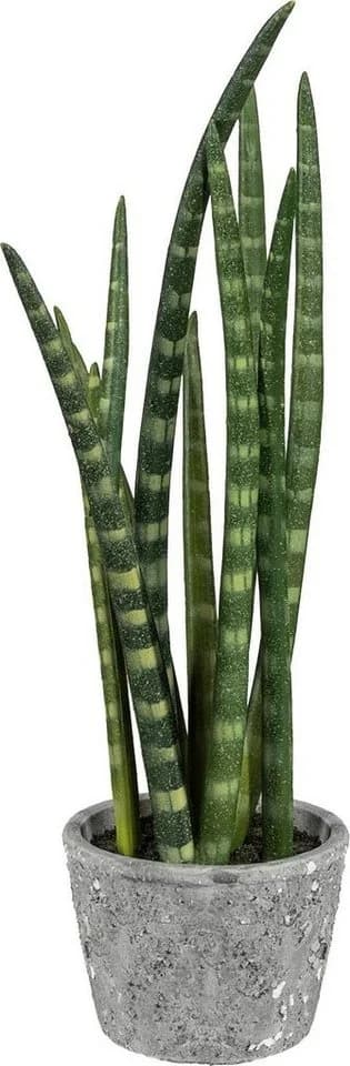 Creativ green Kunstpflanze Sanseveria mit Zementtopf Grün - Bild 2