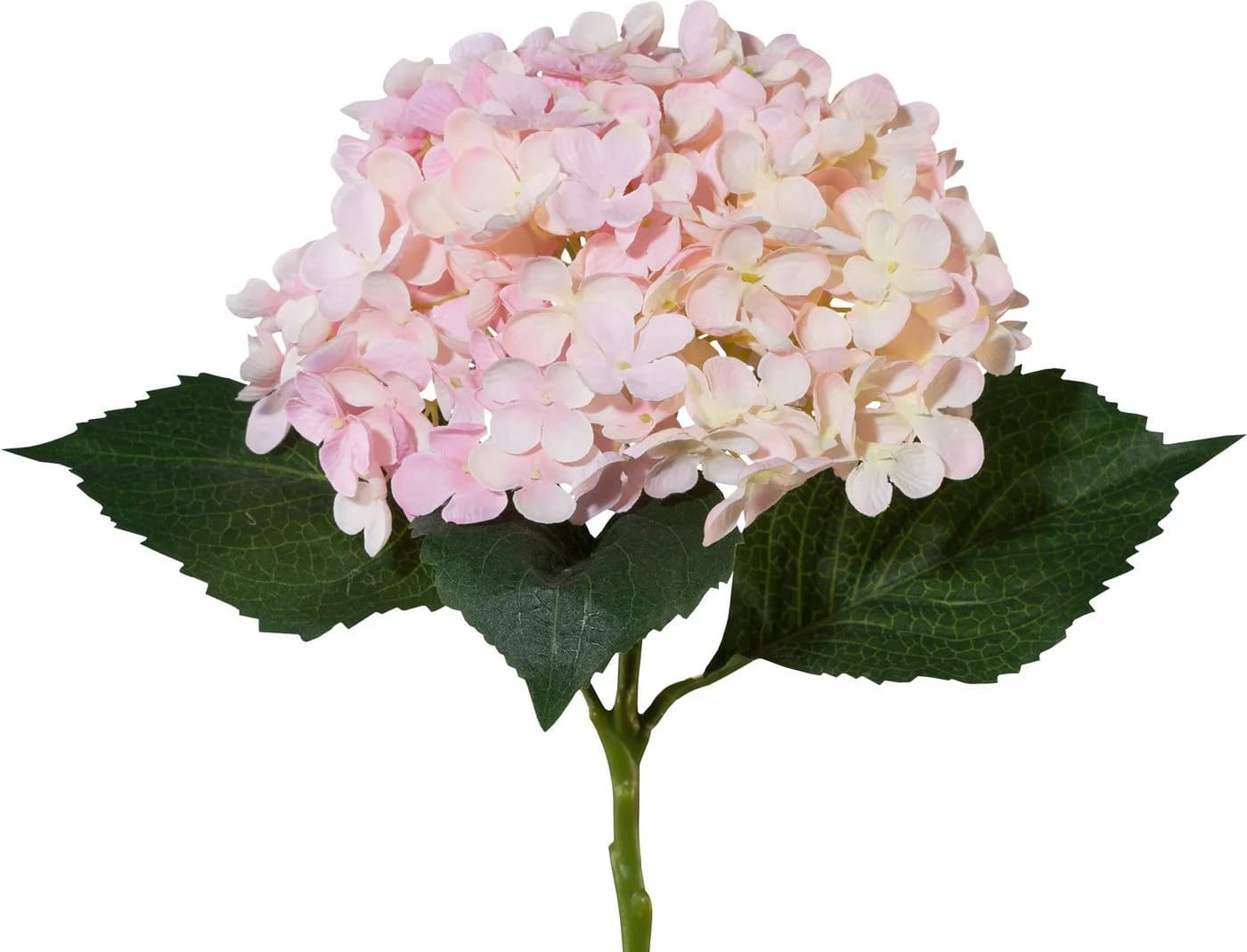 OTTO DE Kunstpflanze Hortensie Rosa Polyester