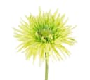 Gasper Kunstblume Gerbera Grün 57cm Seidenblume Bild 1
