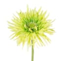 Gasper Kunstblume Gerbera Grün 57cm Seidenblume Bild 2