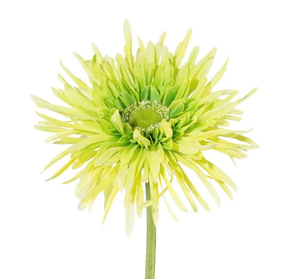 Gasper Kunstblume Gerbera Grün 57cm Seidenblume - Bild 2