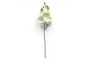 Gasper Kunstorchidee Phalaenopsis 27cm Real Touch Weiß Bild 1