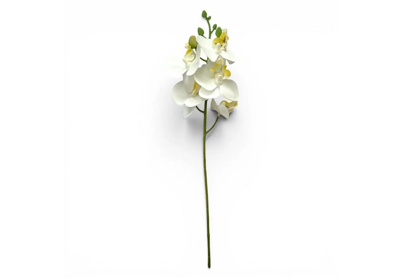 Gasper Kunstorchidee Phalaenopsis 27cm Real Touch Weiß
