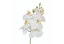 Gasper Kunstorchidee Phalaenopsis 27cm Real Touch Weiß Bild 2