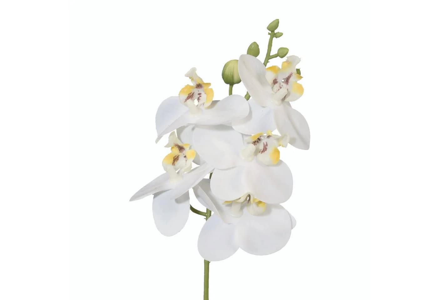 Gasper Kunstorchidee Phalaenopsis 27cm Real Touch Weiß - Bild 2