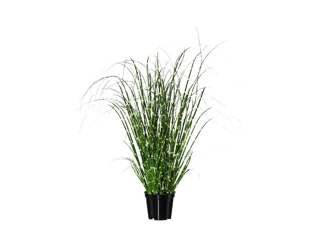 Gasper Künstliche Zimmerpflanze Gras Grün 42 cm