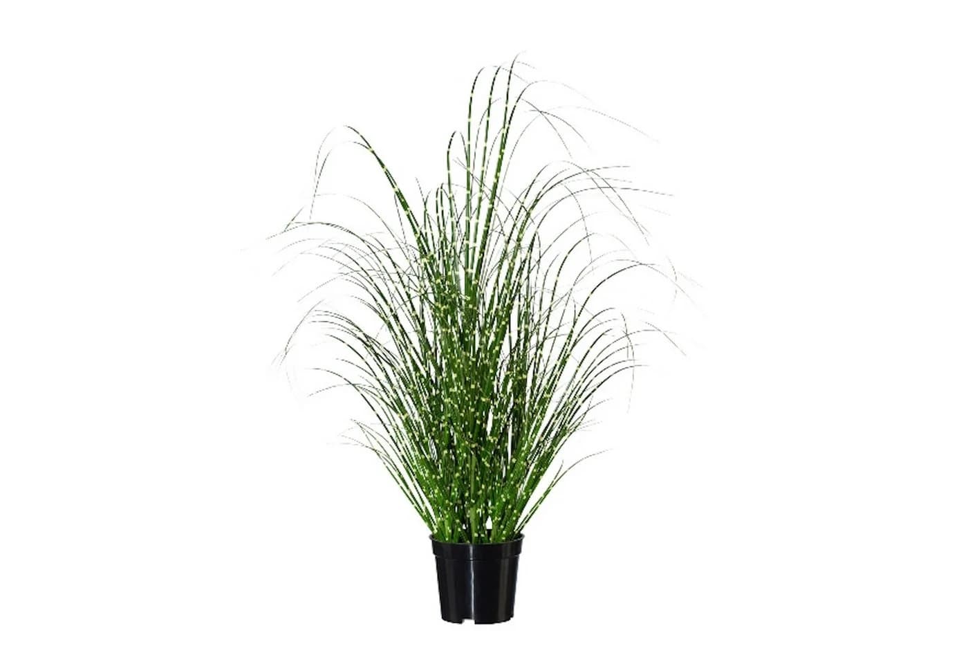 Gasper Künstliche Zimmerpflanze Zebragras Grün Topf 58 cm