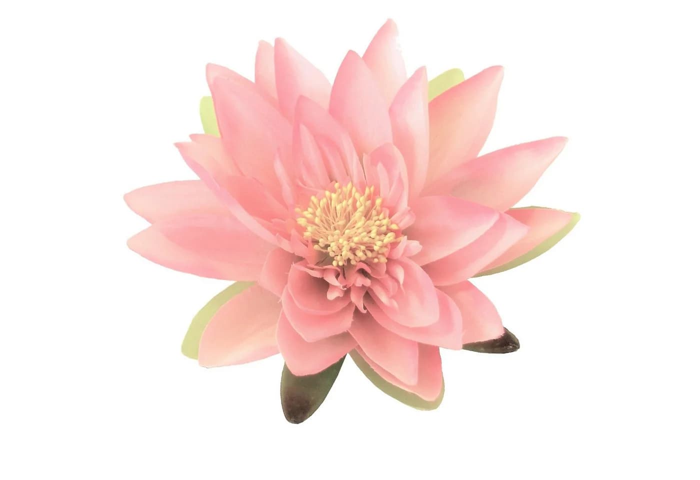 Kunstblume Seidenblume Seerose Rosa Gasper