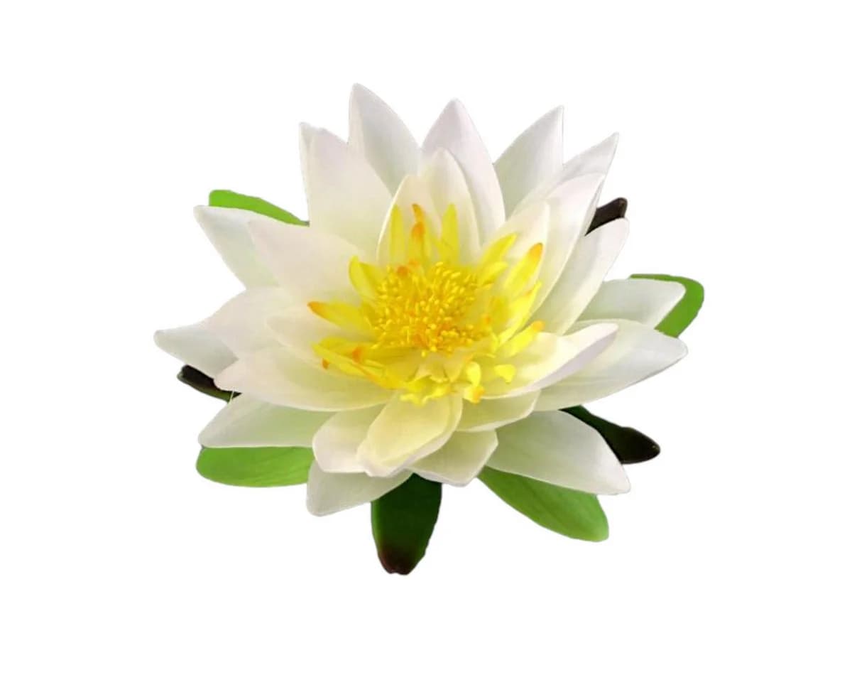 Kunstblume Seidenblume Seerose Lotusblüte Creme/Weiß Gasper