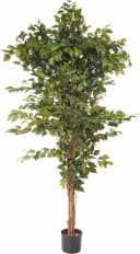 Creativ Green Kunstpflanze Ficus Benjamini Grün Textilgewebe Bild 2