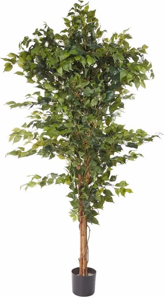 Creativ Green Kunstpflanze Ficus Benjamini Grün Textilgewebe - Bild 2