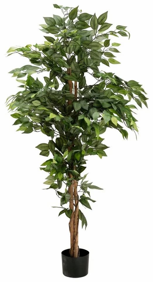 Creativ Green Kunstpflanze Ficus Benjamini Grün Textilgewebe - Bild 3