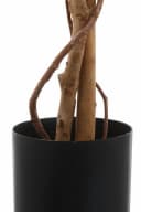 Creativ Green Kunstpflanze Ficus Benjamini Grün Textilgewebe Bild 4