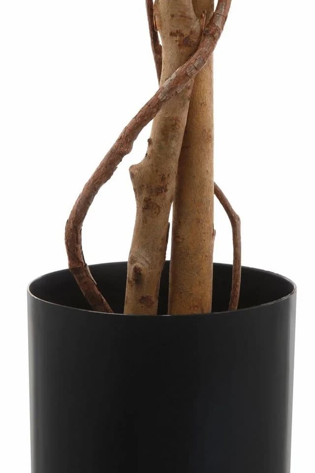 Creativ Green Kunstpflanze Ficus Benjamini Grün Textilgewebe - Bild 4