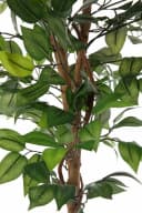 Creativ Green Kunstpflanze Ficus Benjamini Grün Textilgewebe Bild 5